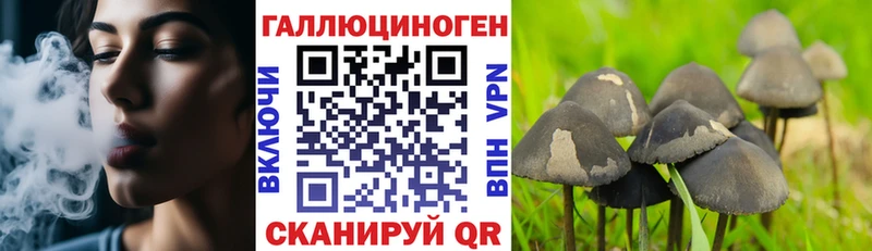 где купить наркотик  Нурлат  Галлюциногенные грибы Magic Shrooms 