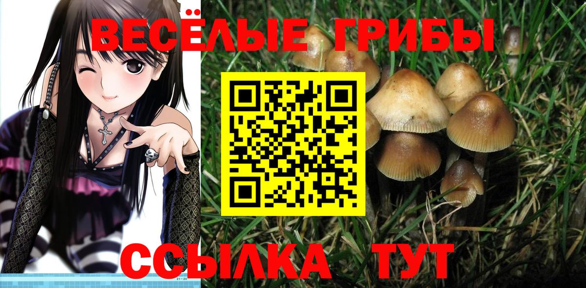 Нурлат  Псилоцибиновые грибы Psilocybine cubensis  Вход с VPN 